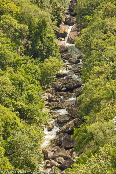 Imagem de uma cachoeira no meio da floresta.